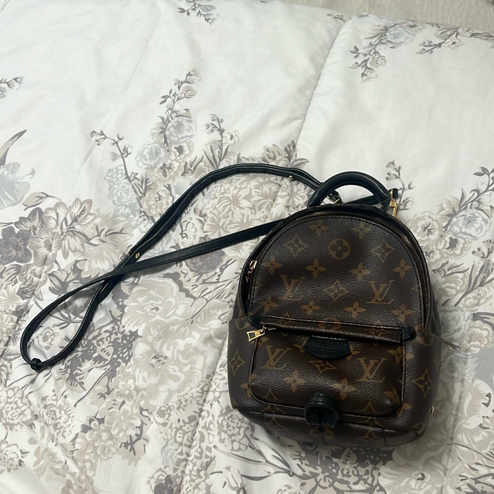 Louis Vuitton Palm Springs mini backpack